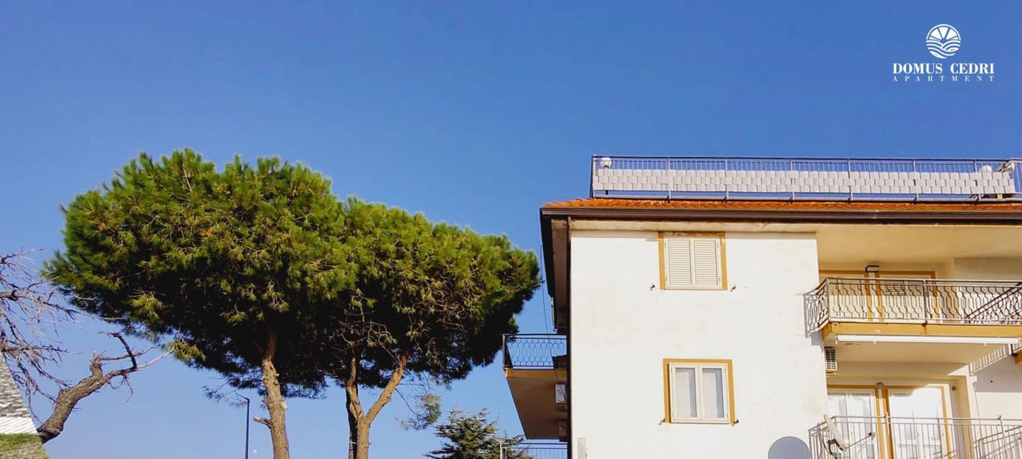 Domus Cedri Apartment Santa Maria Del Cedro Bagian luar foto