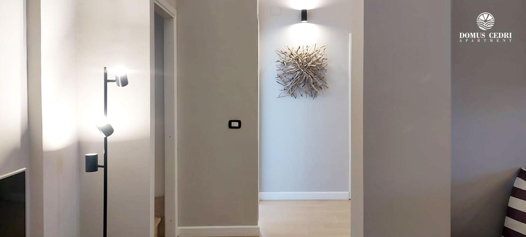Domus Cedri Apartment Santa Maria Del Cedro Bagian luar foto